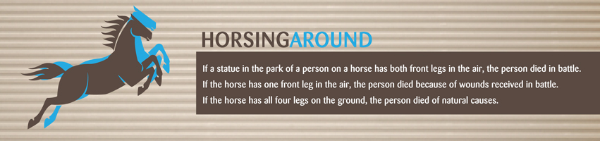 Horsing-Around.jpg